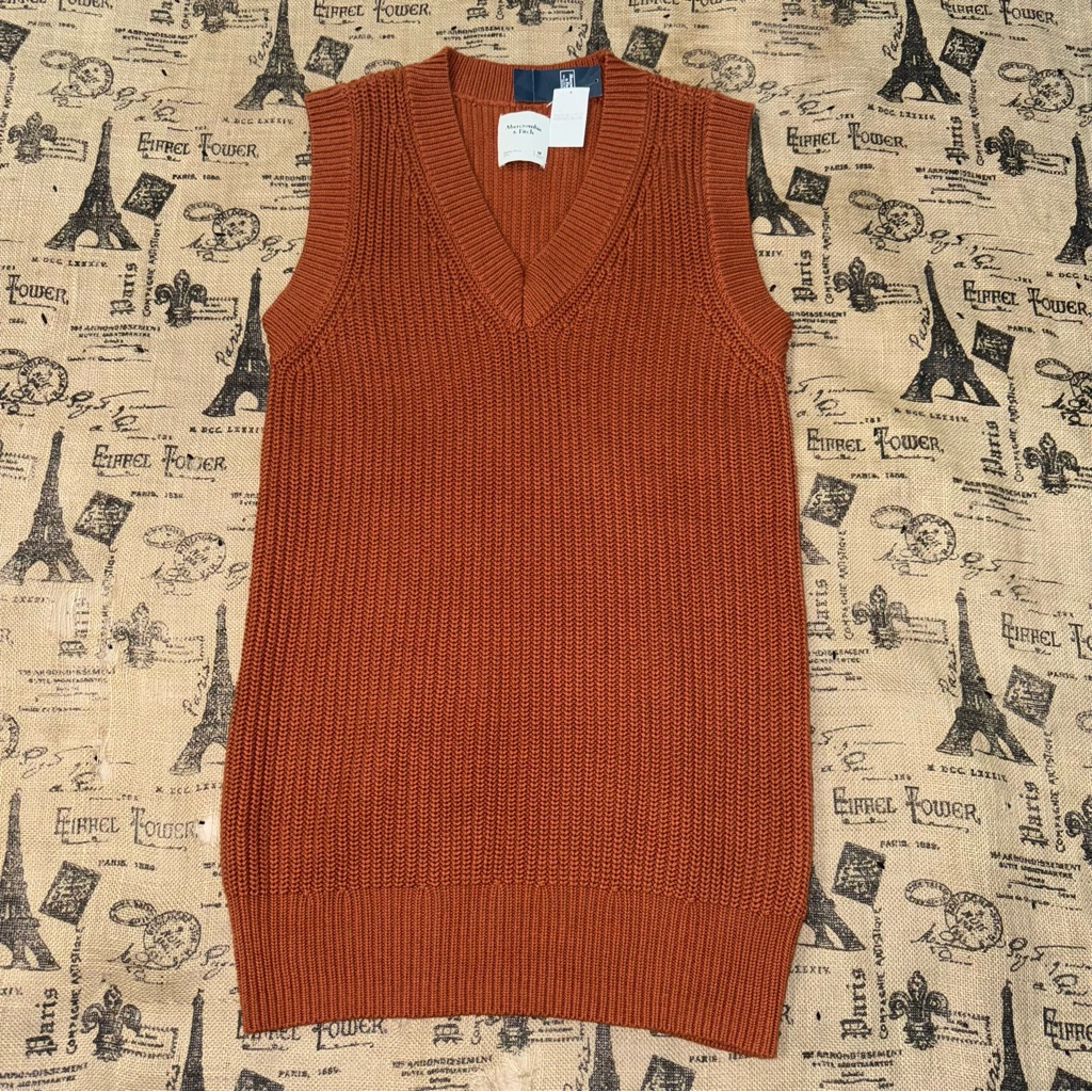 Abercrombie & Fitch Nwt! Brick Sweater Vest Mini Dress Size M